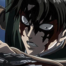 levi ackerman
